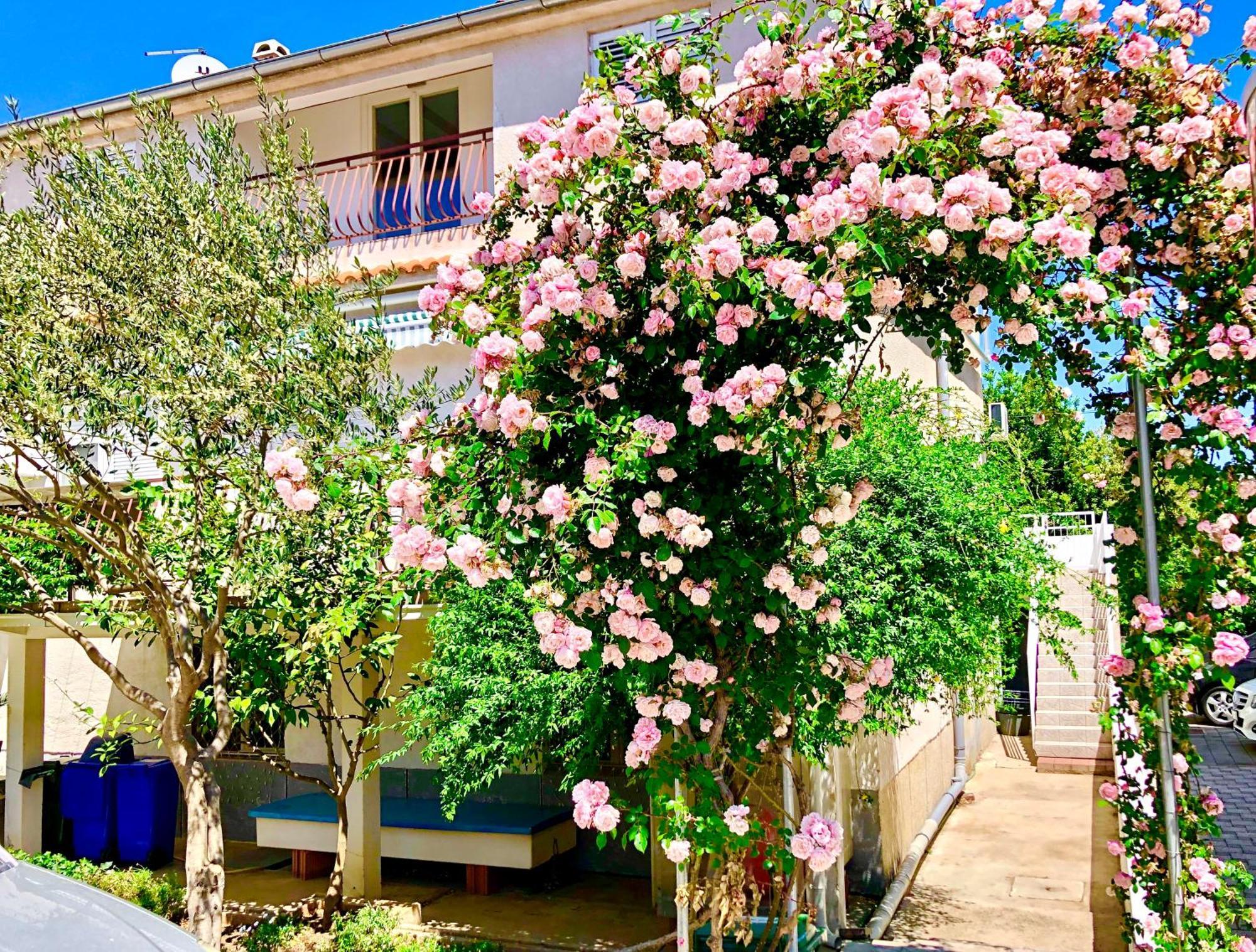 Apartments Cala Biograd Na Moru Habitación foto